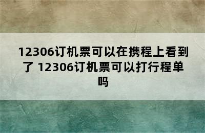 12306订机票可以在携程上看到了 12306订机票可以打行程单吗